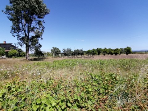 Terreno