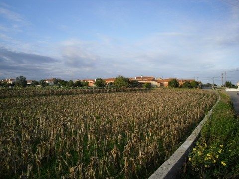 Terreno