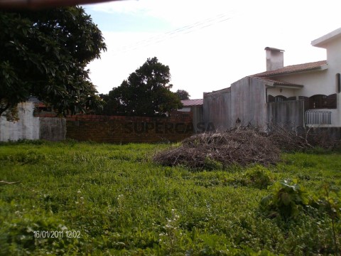 Terreno
