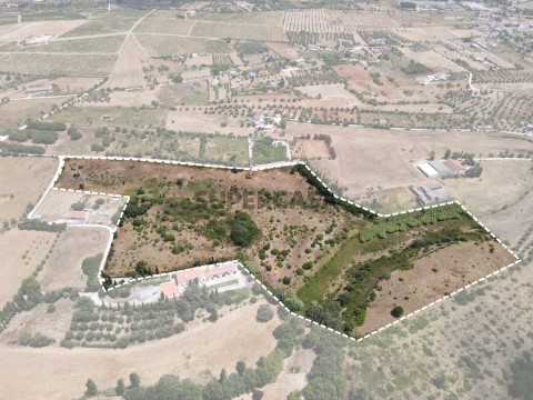 Terreno na Rua da Quinta da Cruz, Cartaxo e Vale da Pinta