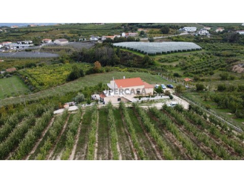 DJI_0043