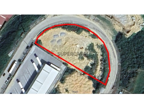 lote17