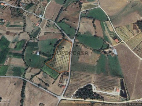 Terreno