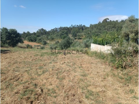 WhatsApp Image 2022-05-31 at 16.41.47