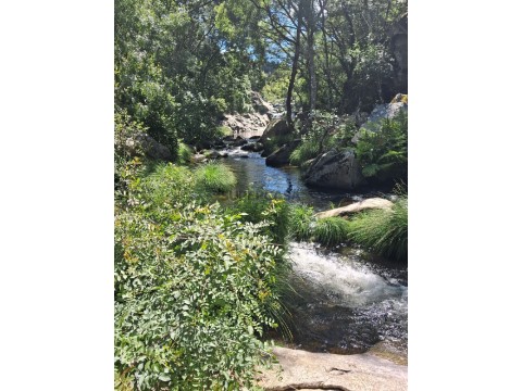 Terreno Urbanizável em Várzea de Abrunhais, Lamego