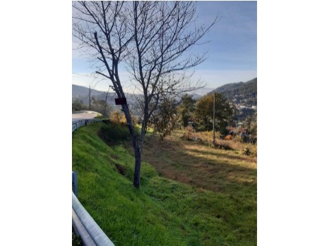 Terreno Urbanizável na Rua do Vale, Oliveira de Frades, Souto de Lafões e Sejães