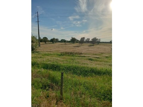 Terreno Terrenos en Pavia, Mora