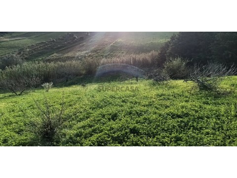 Terreno Terreno na Rua dos Valinhos, Turcifal, Turcifal