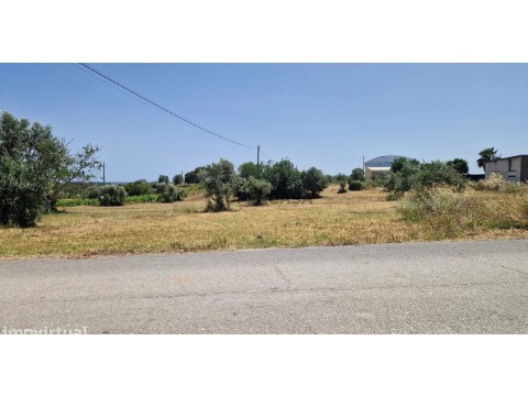 Terreno Terreno em Olaia e Paço, Torres Novas