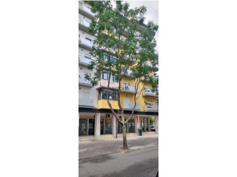 Apartamento T3 em Garagem individual, Rua Engenheiro Manuel Moreira Amorim, Viseu