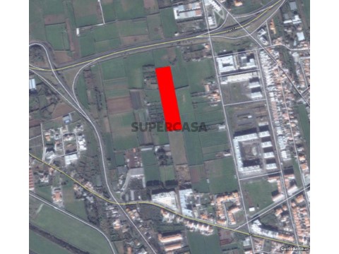 Terreno Terreno em São Pedro, Ponta Delgada