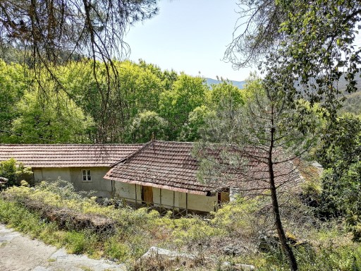 Duas casa antigas para restaurar em Castelo de Paiva