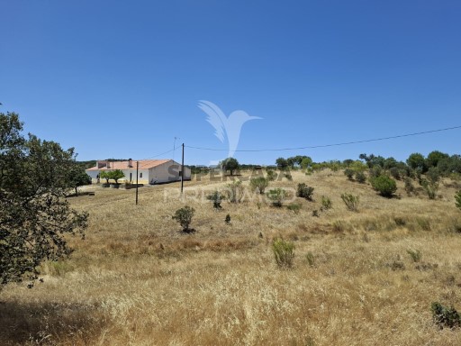 Corps de ferme de l'Alentejo 6 Chambres N.S. Conceição, S.Brás Matos, Juromenha, Alandroal