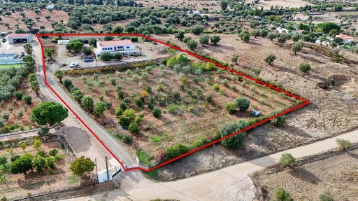 Quinta T3 Serpa (Salvador e Santa Maria), Serpa
