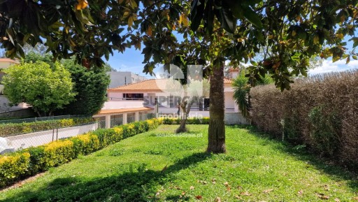 Moradia T5 Rebordosa, Paredes