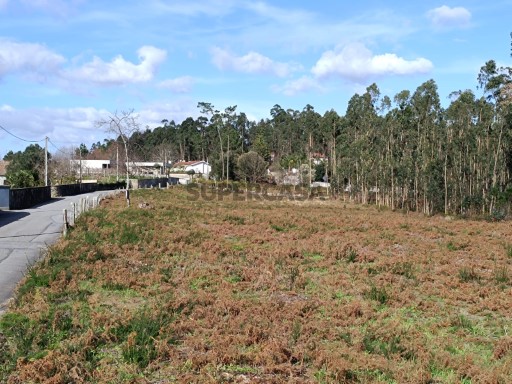 Terreno com 10.796m2 de área total em Barcelos