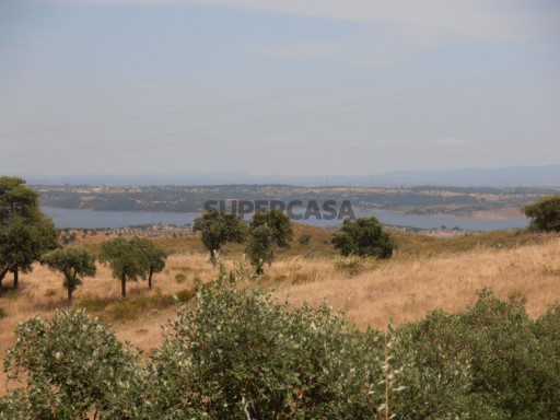 Herdade