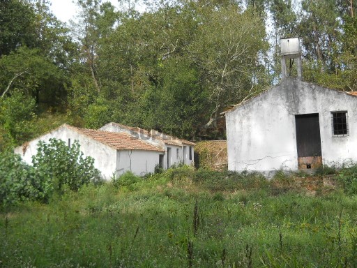 Quinta