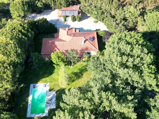 Quinta 10154m2 com moradia T5 e piscina, Herdade Zambujeiro, Santo Estêvão (22)