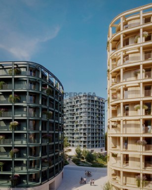 Lake Towers