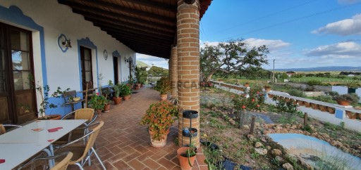 Quinta T5 com 11250 m2 perto de Serpa