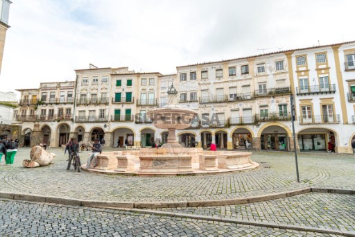 Prédio Évora (São Mamede, Sé, São Pedro e Santo Antão), Évora