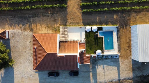 Herdade vinícola com turismo rural 35 hectares - Évora